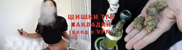 индика Нефтекумск