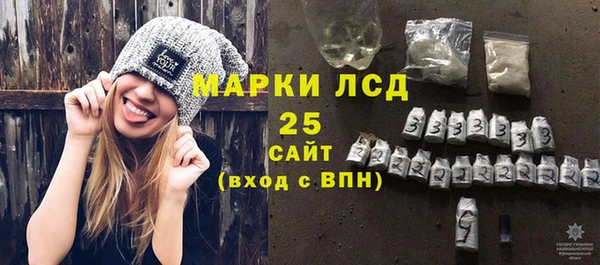 индика Нефтекумск