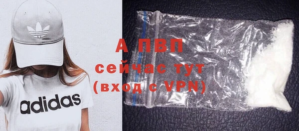 эйфоретик Новокубанск