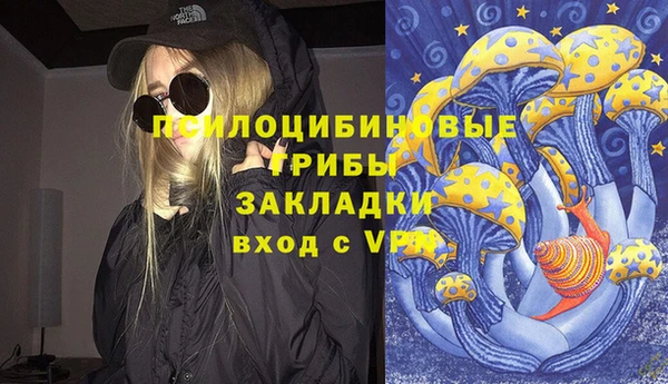 сатива Нея