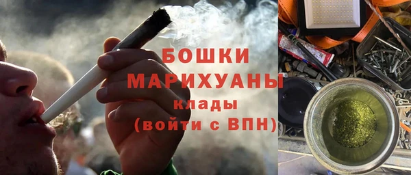 индика Нефтекумск