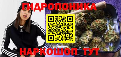 эйфоретик Гусь-Хрустальный