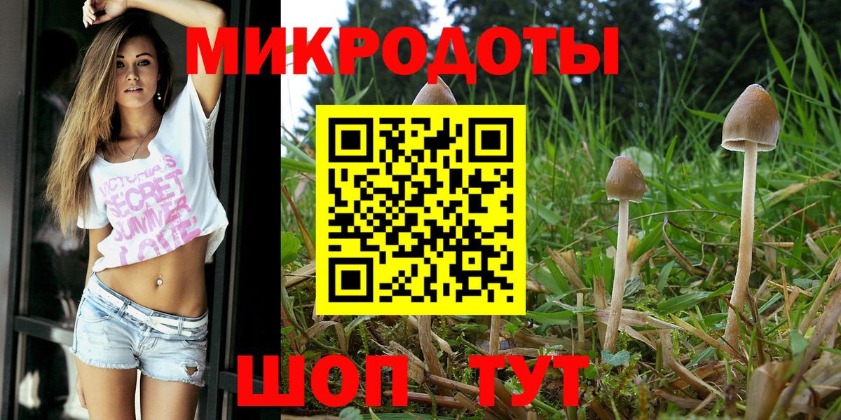 Псилоцибиновые грибы Magic Shrooms  Вход с VPN  Ейск 