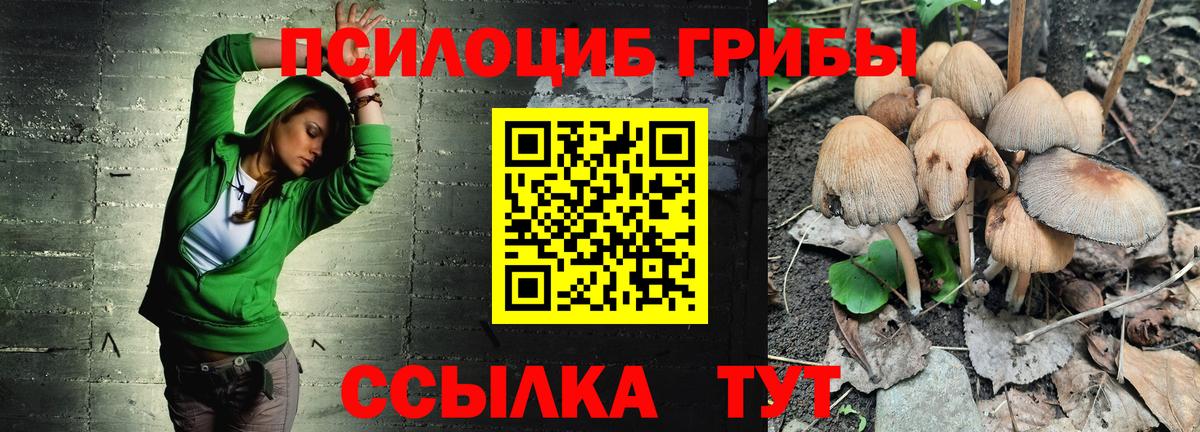 Галлюциногенные грибы Cubensis Ейск