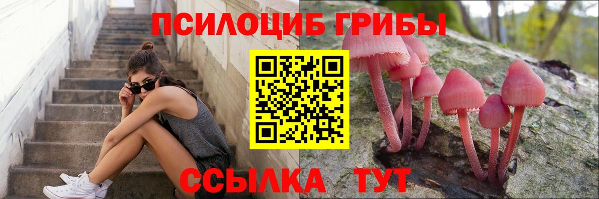 Псилоцибиновые грибы ЛСД  Ейск  Псилоцибиновые грибы ЛСД 